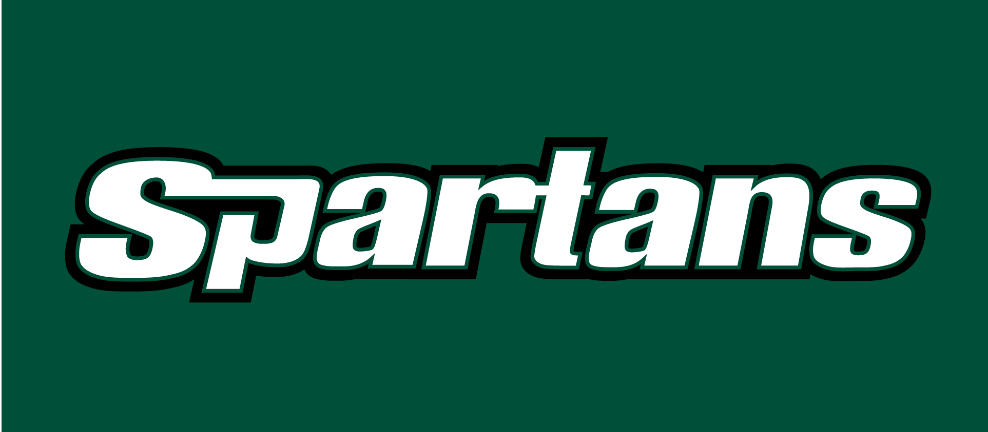 USC Upstate Spartans 2003-2010 Wordmark Logo t shirts DIY iron ons v2